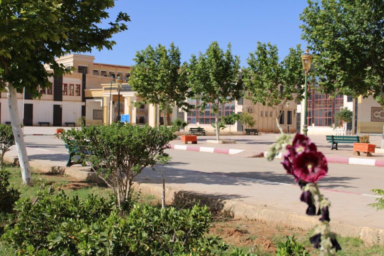 الحملة الوطنية الجامعية للتشجير