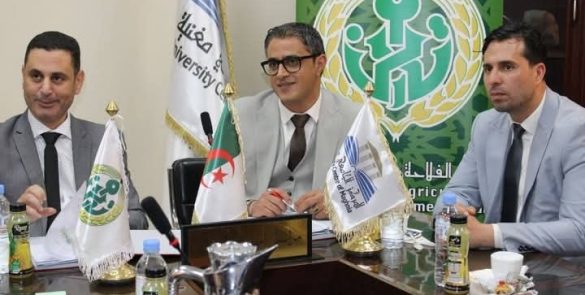 BADR 3