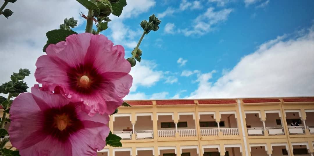 أجواء الحملات التحسيسية بالمركز الجامعي مغنية-خلية الاشراف-