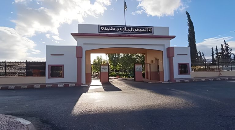 اختتام الدورة التكوينية بحاضنة الأعمال 3W لتعزيز الفكر الريادي للطلبة