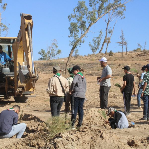 المركز الجامعي مغنية يشارك في مبادرة غرس مليون شجرة دعماً للتنمية البيئية13