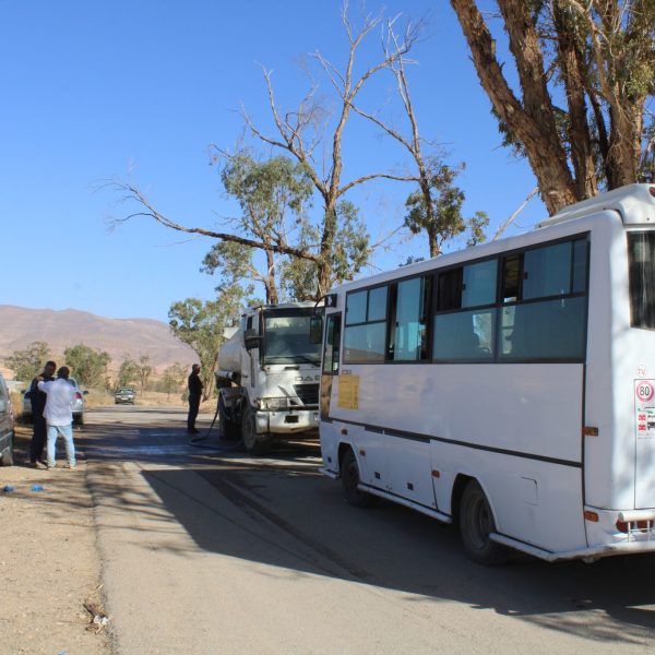 المركز الجامعي مغنية يشارك في مبادرة غرس مليون شجرة دعماً للتنمية البيئية16
