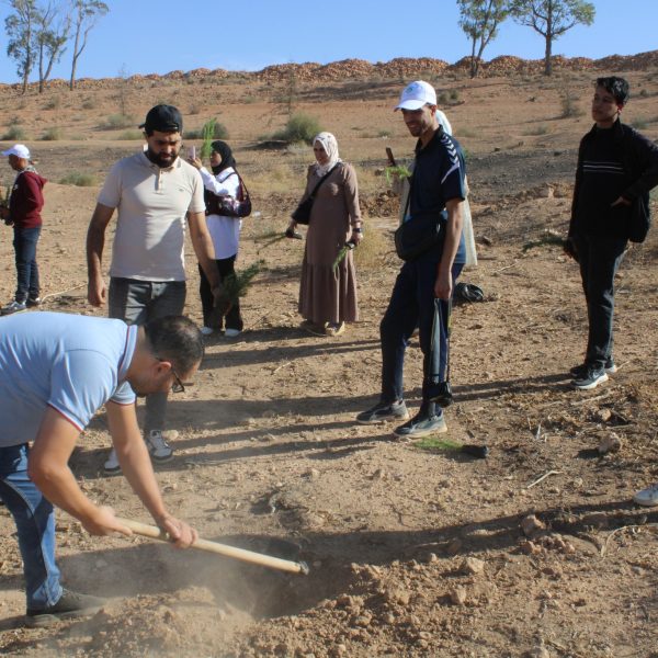 المركز الجامعي مغنية يشارك في مبادرة غرس مليون شجرة دعماً للتنمية البيئية2