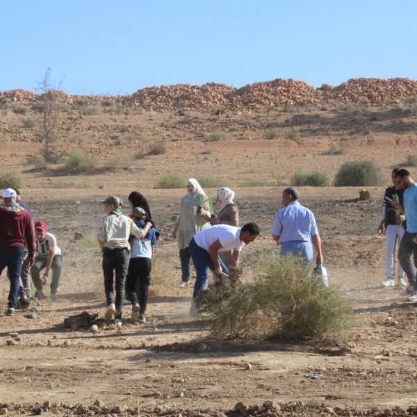 المركز الجامعي مغنية يشارك في مبادرة غرس مليون شجرة دعماً للتنمية البيئية5