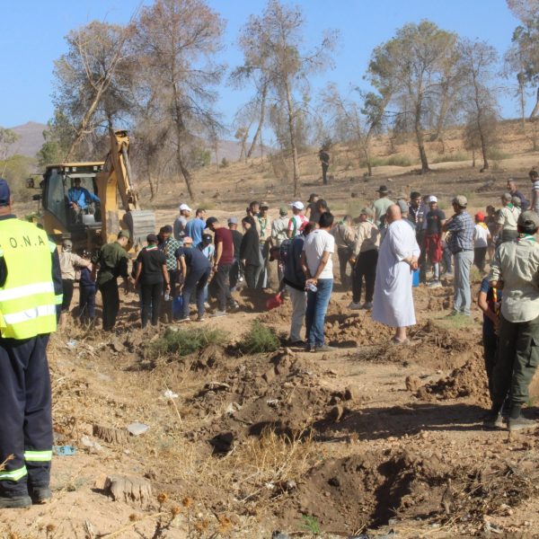 المركز الجامعي مغنية يشارك في مبادرة غرس مليون شجرة دعماً للتنمية البيئية6