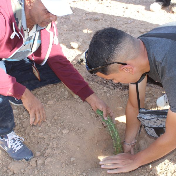 المركز الجامعي مغنية يشارك في مبادرة غرس مليون شجرة دعماً للتنمية البيئية8