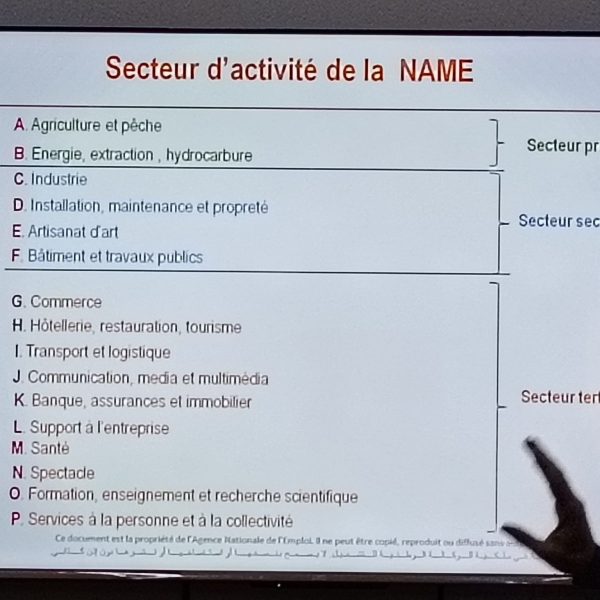 بالمدونة الجزائرية للمهن2