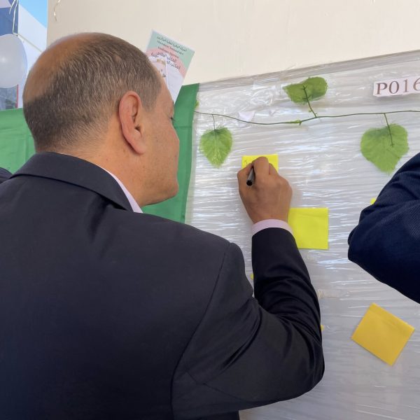 الذكرى الـ 71 لثورة التحرير المجيدة بفعاليات ثقافية12