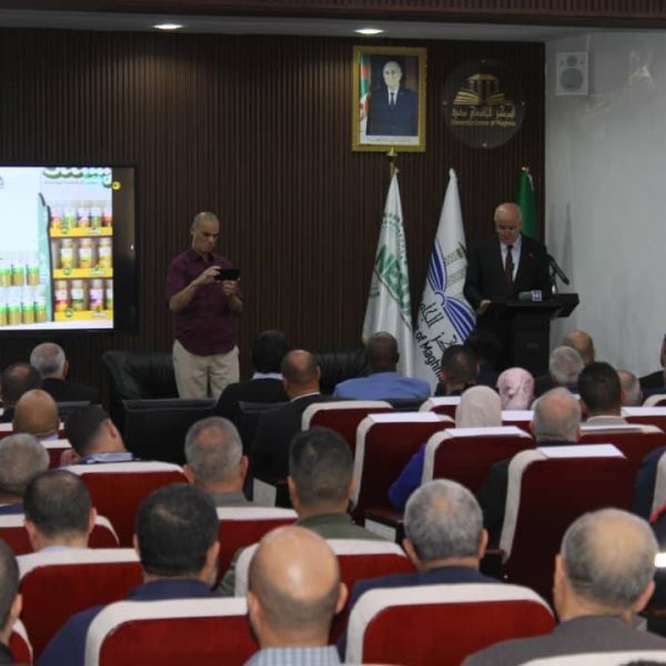 دور المقاولاتية في تنمية المناطق الحدودية13