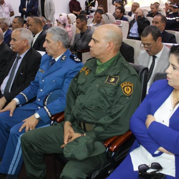 دور المقاولاتية في تنمية المناطق الحدودية15