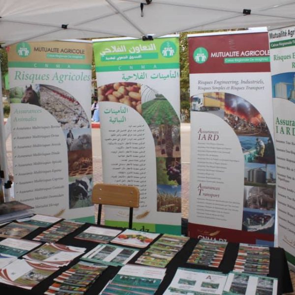 دور المقاولاتية في تنمية المناطق الحدودية333