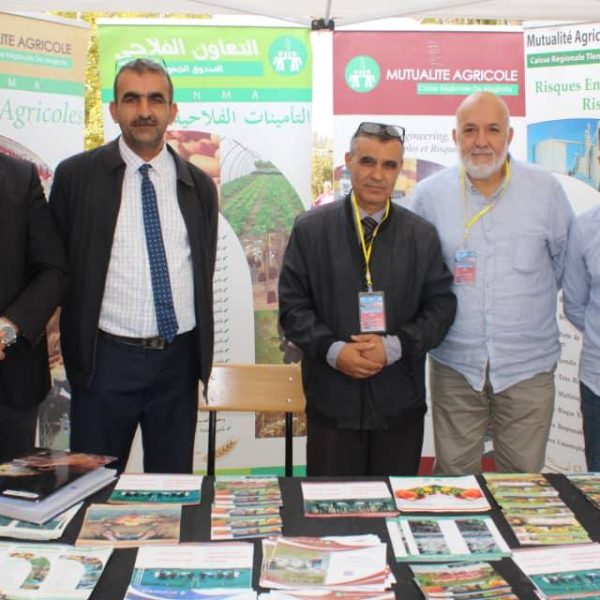 دور المقاولاتية في تنمية المناطق الحدودية37