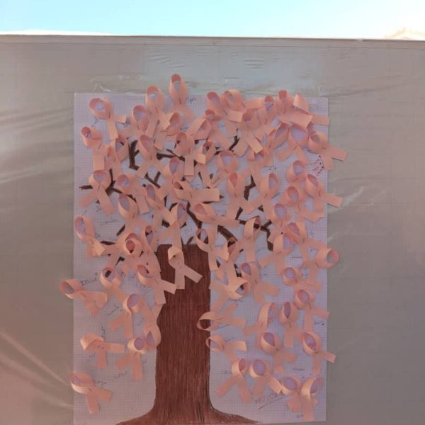 يوم توعوي بالمركز الجامعي مغنية في إطار الشهر الوردي15