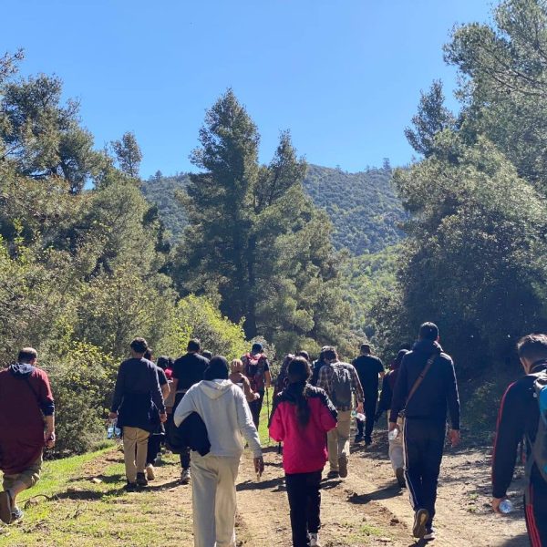 أفضل صورة فوتوغرافية1