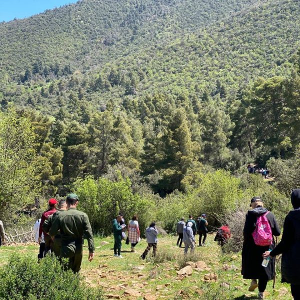 أفضل صورة فوتوغرافية5