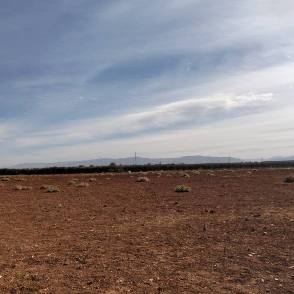 انطلاق مشروع توسعة المركز الجامعي مغنية 10