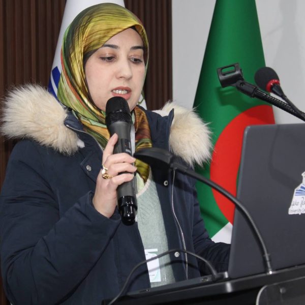 التحول الرقمي كمسار لتطوير المؤسسات18