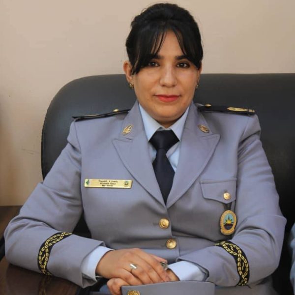 الحوكمة بين متطلبات تحقيق التنمية المستدامة ومكافحة الفساد40