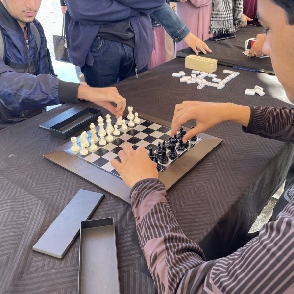 الذكرى الـ 71 لثورة التحرير المجيدة بفعاليات ثقافية14