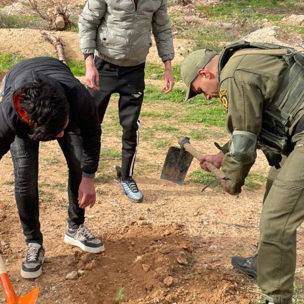 المبادرة الوطنية لغرس 5 ملايين شجرة11