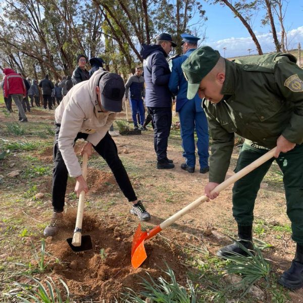 المبادرة الوطنية لغرس 5 ملايين شجرة2