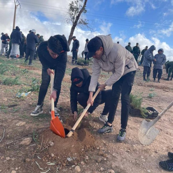 المبادرة الوطنية لغرس 5 ملايين شجرة6