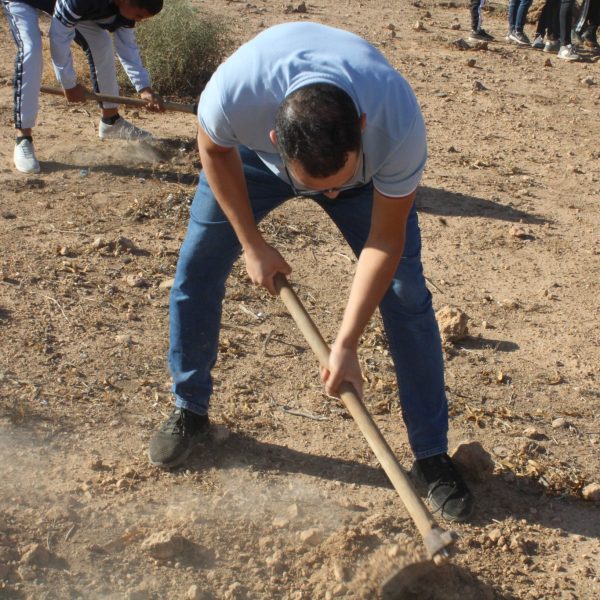 المركز الجامعي مغنية يشارك في مبادرة غرس مليون شجرة دعماً للتنمية البيئية1
