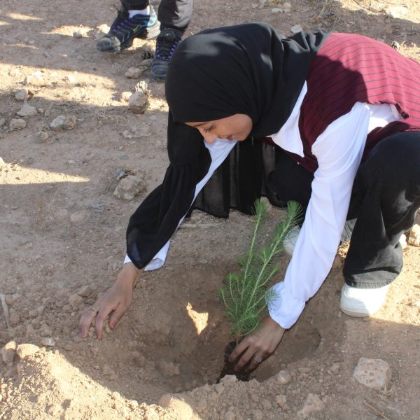 المركز الجامعي مغنية يشارك في مبادرة غرس مليون شجرة دعماً للتنمية البيئية25