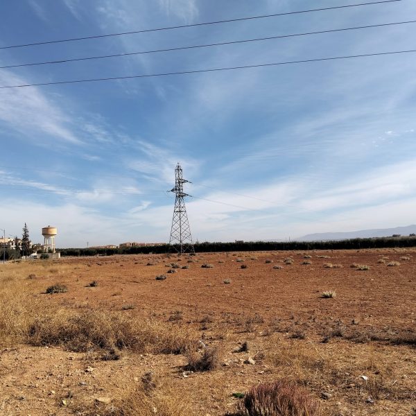 انطلاق مشروع توسعة المركز الجامعي مغنية 9