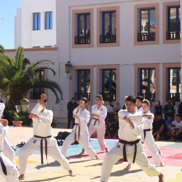 دورة الكروية وعروض الرياضات القتالية5