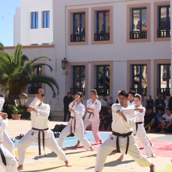 دورة الكروية وعروض الرياضات القتالية5