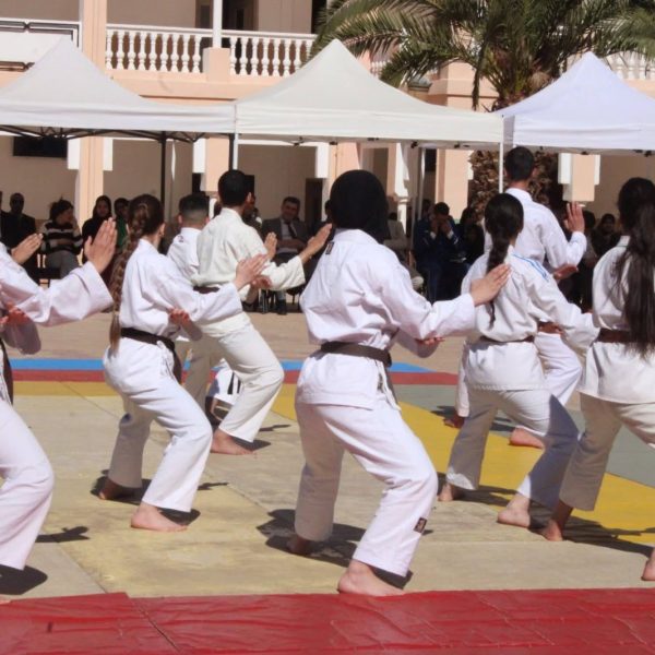 دورة الكروية وعروض الرياضات القتالية7